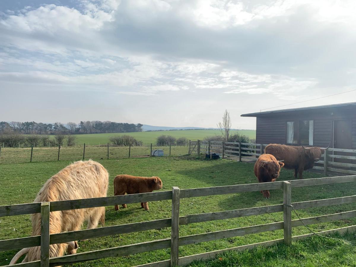 Orchard House Lodges By Ecohuman Haddington Eksteriør bilde